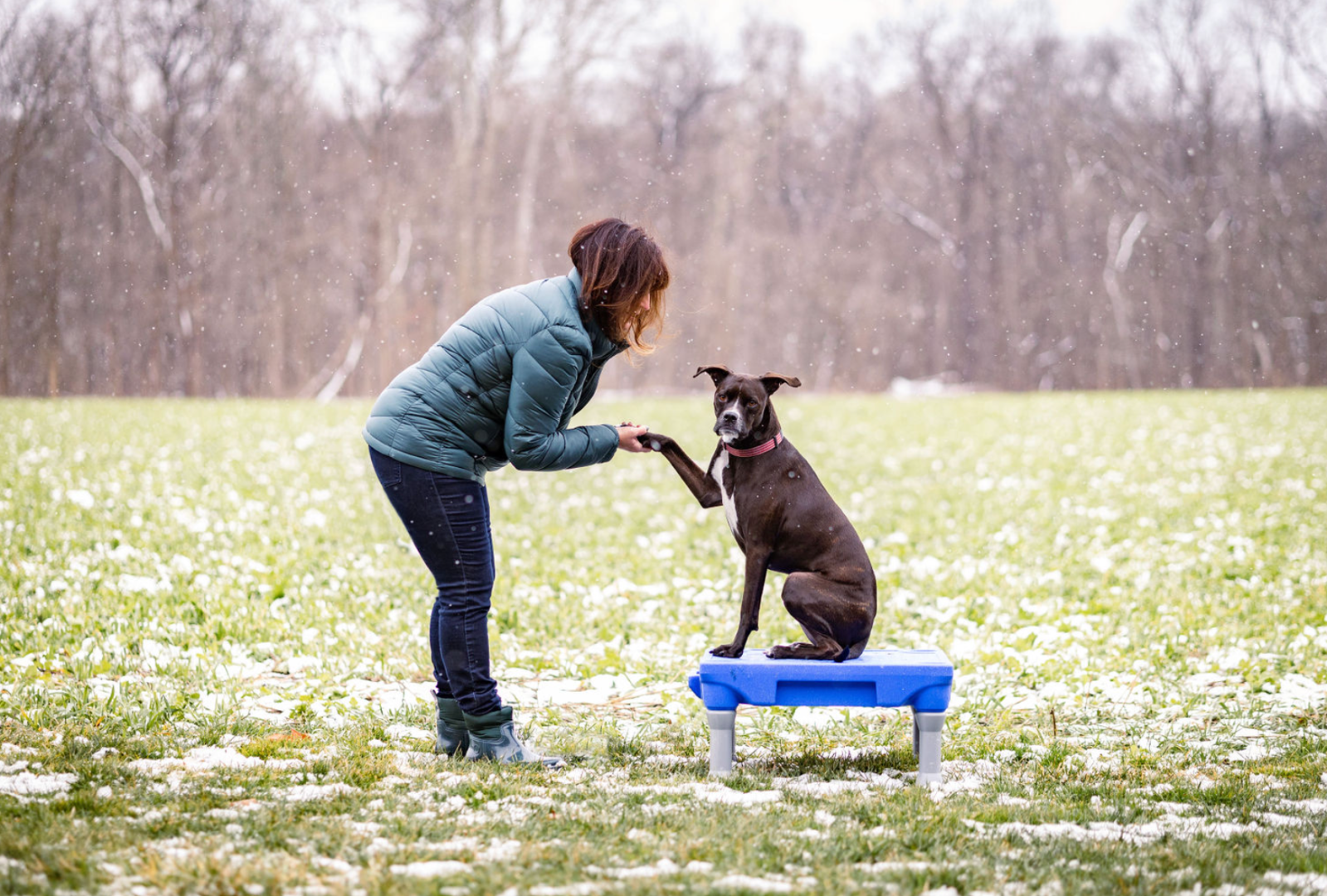 Lisa Yasenchak with Ned, the dog who inspired her to start New Era Dog Training