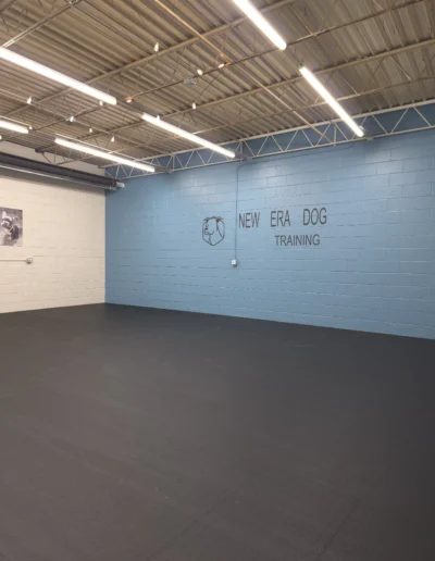 Matted indoor rental space at New Era Dog Training in North Royalton, Ohio