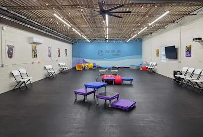 Dog Training Facility -2 Matted dog training facility with enrichment equipment at New Era Dog Training